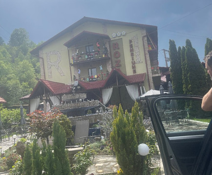 Pensiunea Roza主图