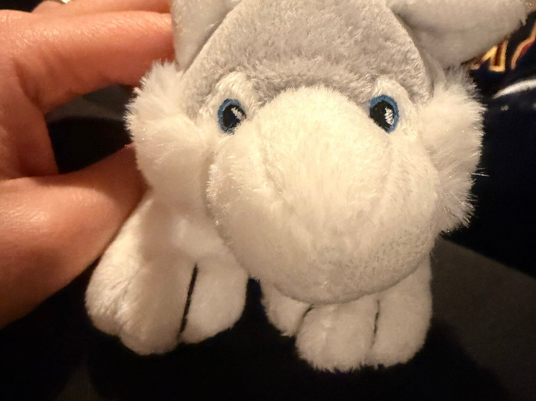 Santa's Winter Village-Pajala必去景点