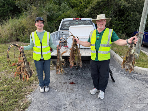 Invasive EnVogue-Ramrod Key必去景点
