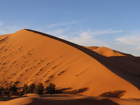 Tour in Marocco-马拉喀什必去景点