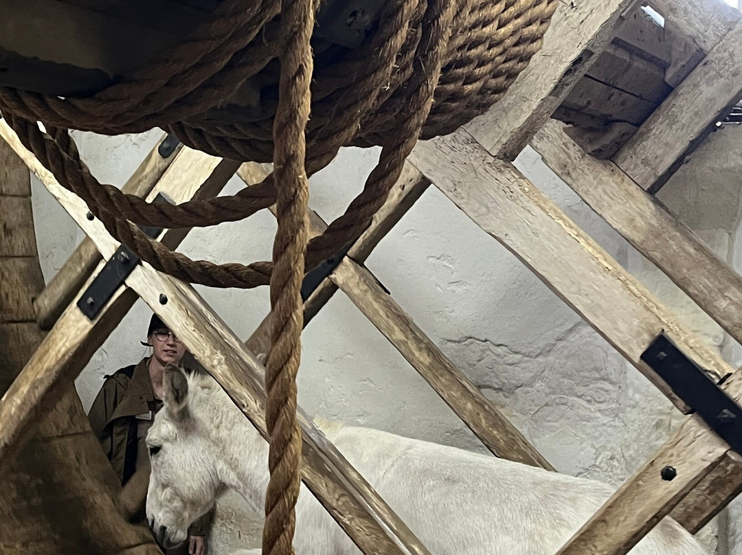 Carisbrooke Castle-纽波特必去景点