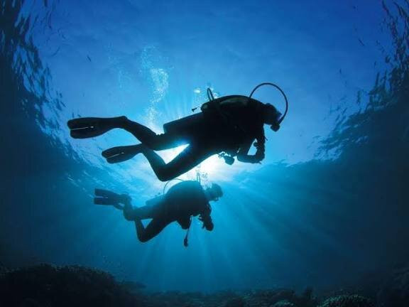 Al Jazeera Diving & Swimming Center-哈伊马角必去景点