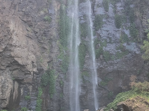 Queen Mary Falls-Killarney必去景点