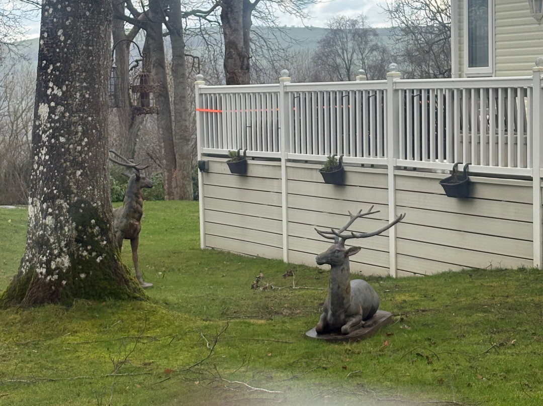 里昂兀兰霍尔酒店主图