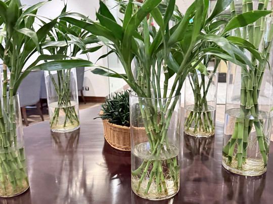 DoubleTree by Hilton Makkah Aziziyah主图