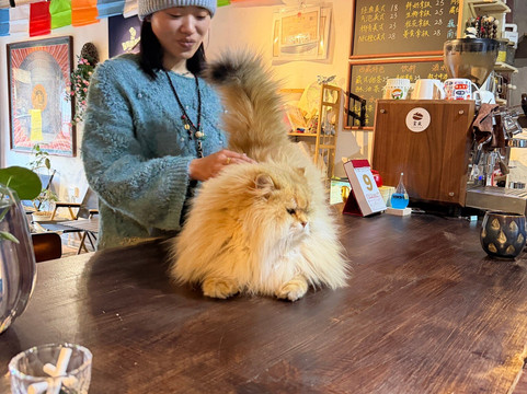 巍山古城-巍山彝族回族自治县必去景点