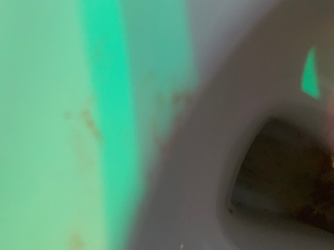 Golden Nugget Antique Market-Lambertville必去景点