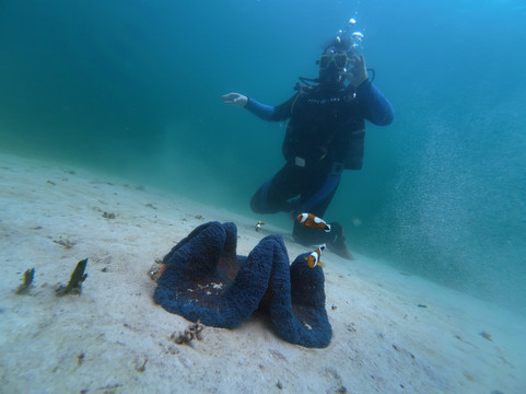 Turtle Divers-爱妮岛必去景点