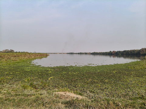 Kaziranga National Park