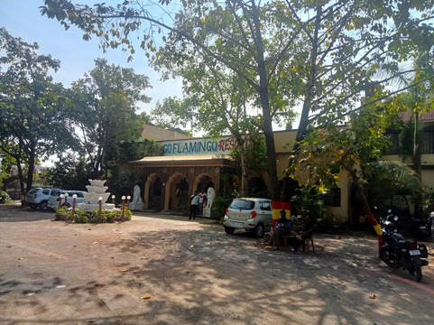 火烈鸟度假村主图