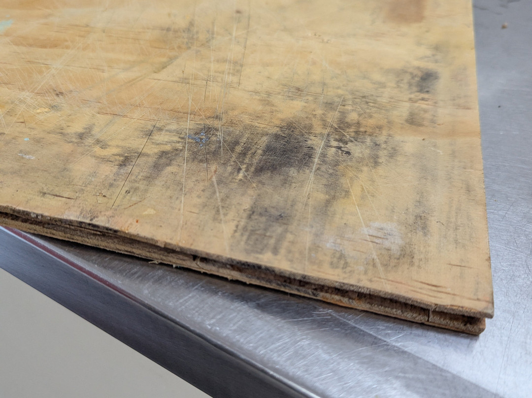 252海滨汽车旅馆和假日公园酒店主图