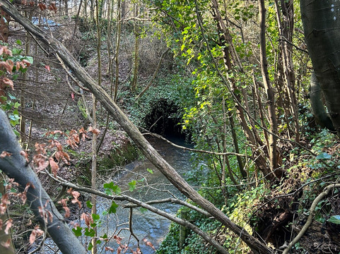 Dunino Den-圣安德鲁斯必去景点