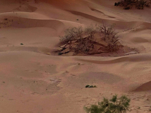 Auberge Kasbah Touareg主图