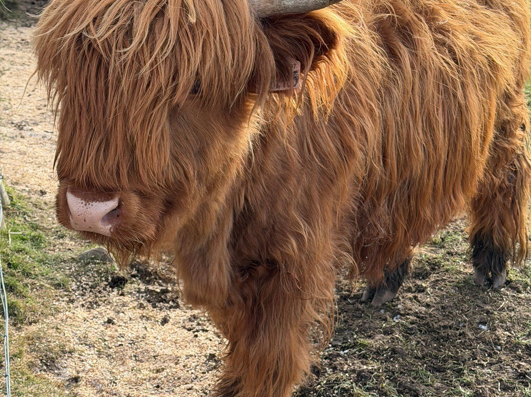 Quad Bike Treks-阿维莫尔必去景点