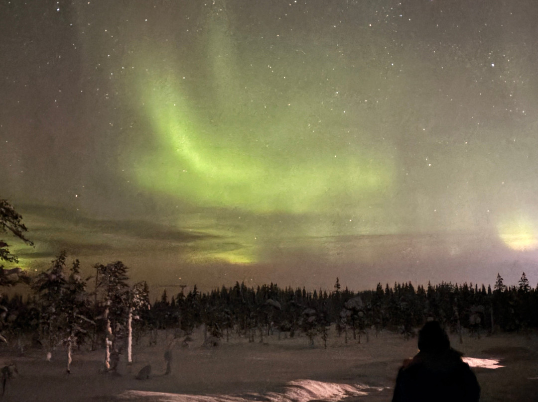 Arktictopia-罗瓦涅米必去景点