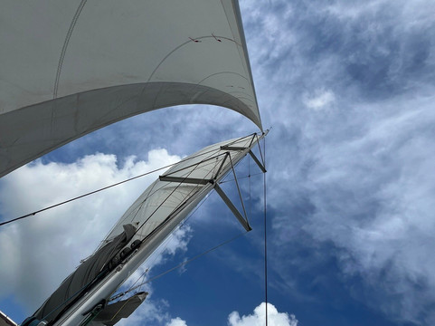 TY-Domino Catamaran-Le Robert必去景点