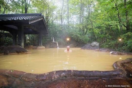 Shin Inago-gawa Onsen U-trio-富士宫市必去景点