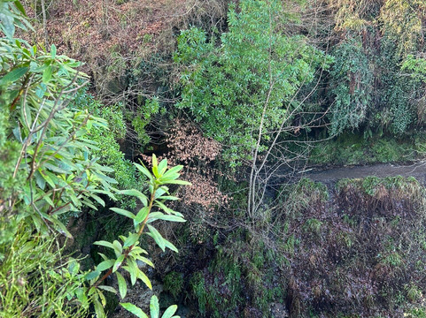 Maspie Den-Falkland必去景点