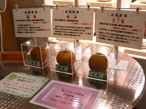 Pear Museum-仓吉市必去景点