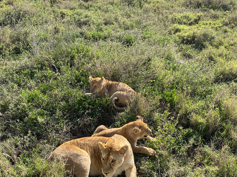 Latitude Explorers-Fontenay-les-Briis必去景点