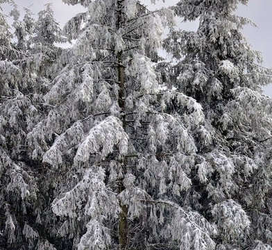 Skiliftkarussell Winterberg-Winterberg必去景点