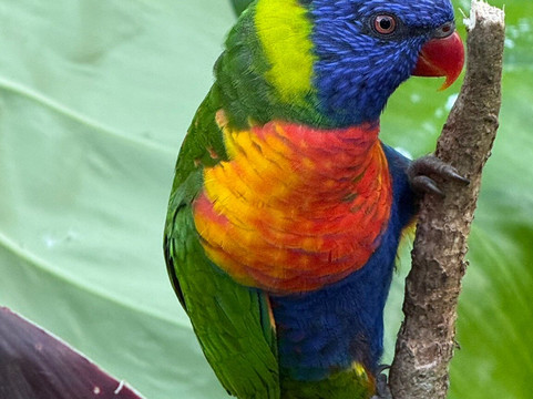 Jardin Botanique de Valombreuse-Petit-Bourg必去景点