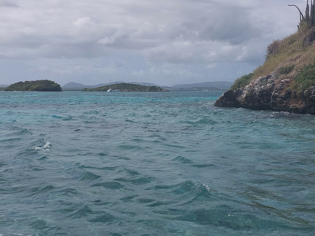 Antigua Nature Tours-圣 约翰必去景点