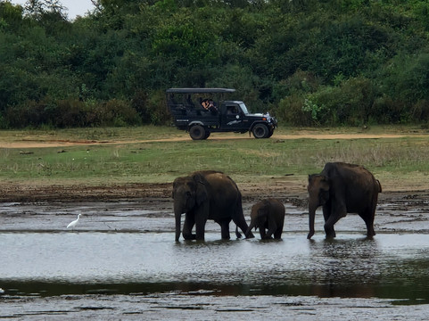 Ceylon Tours By Ananda-Raddolugama必去景点