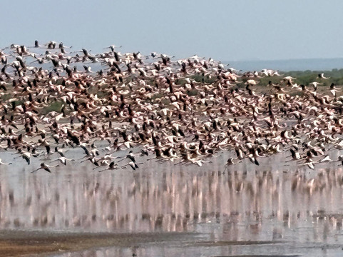 Aventure Safaris-蒙巴萨必去景点
