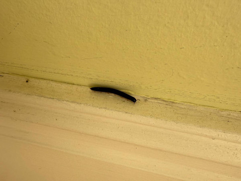 Gemoedsrus Farm主图