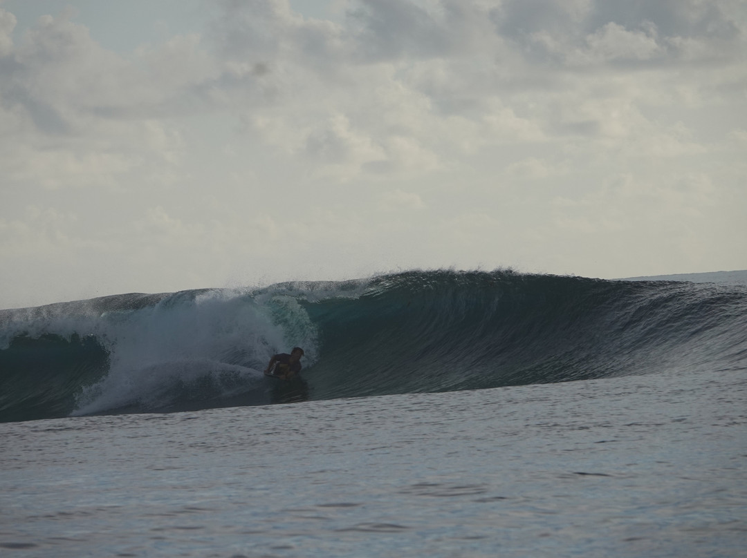 Manoa Tours, Watersports Day Tours-Si'umu必去景点