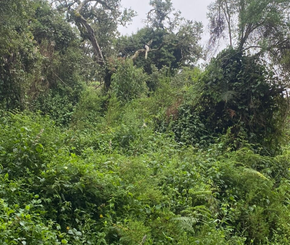 Sere adventure Safari-Kiboriloni必去景点