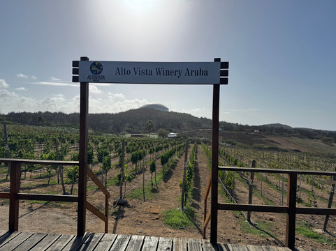 Alto Vista Winery-Noord必去景点