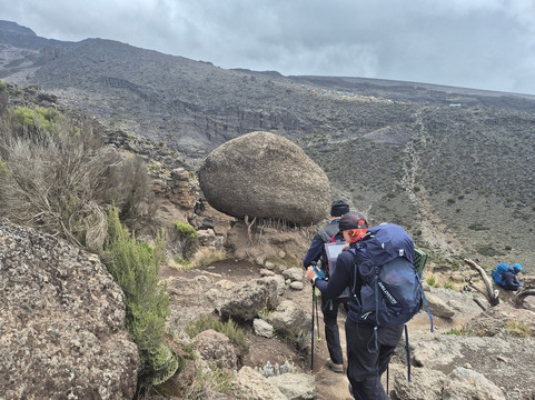 Kili Altitude Adventures-莫西必去景点