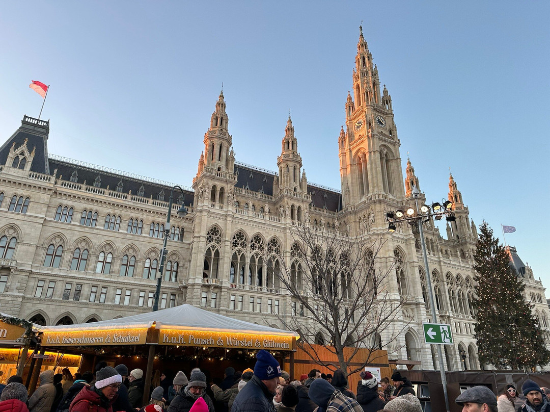 市政厅广场-维也纳必去景点