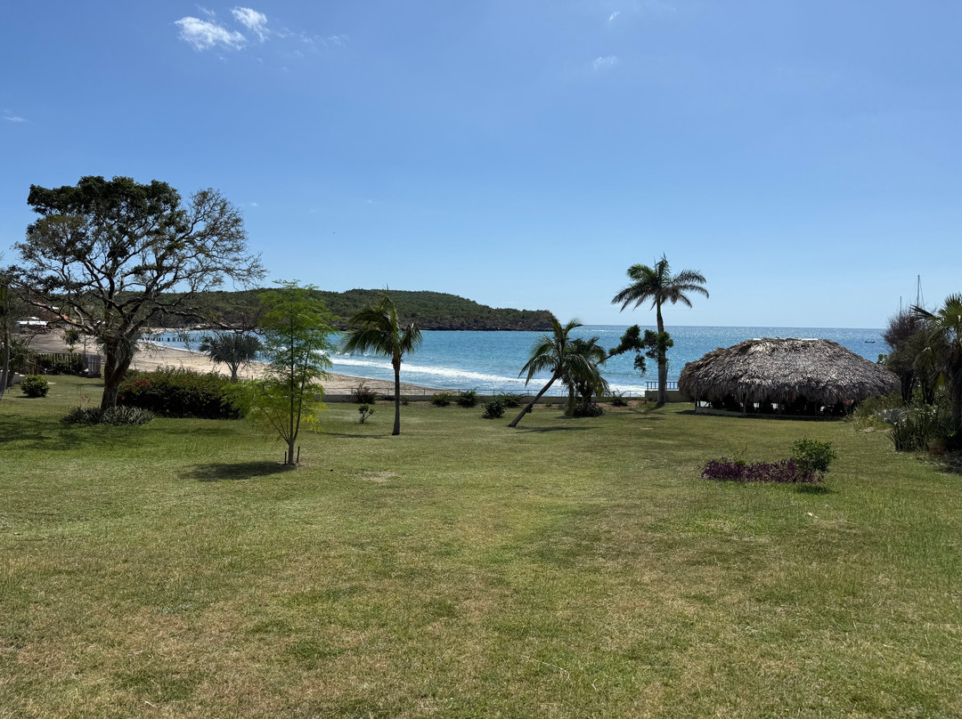 MycoMeditations Psilocybin-Assisted Retreats-瑰宝滩必去景点