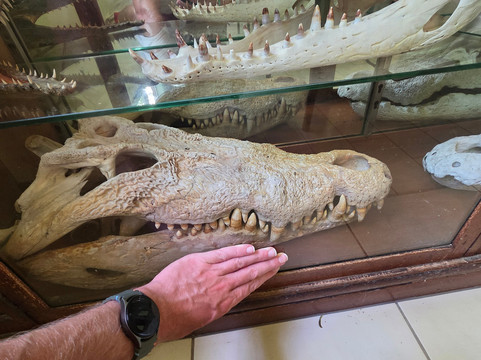 Koorana Crocodile Farm-Coowonga必去景点