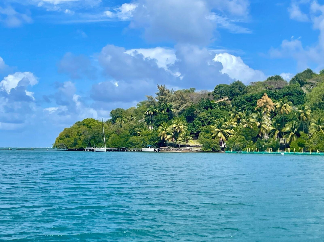 Capitaine Titi Balades en Mer-La Trinite必去景点