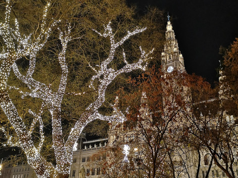 Wiener Christkindlmarkt-维也纳必去景点