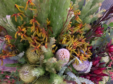 Camberwell Florist-坎伯维尔必去景点