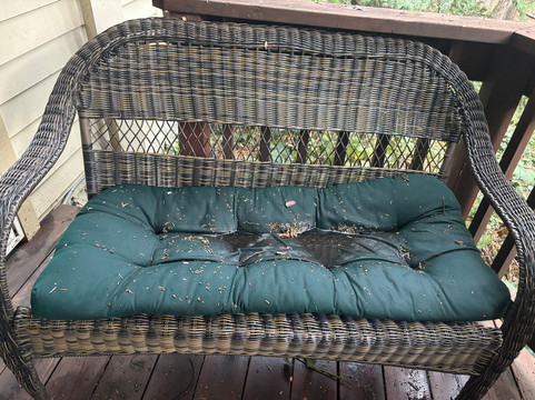 麦卡弗里住宿加早餐旅馆主图