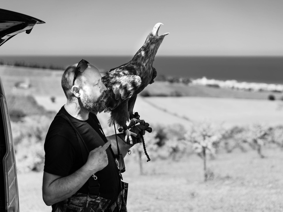 Wild World-Porto Potenza Picena必去景点