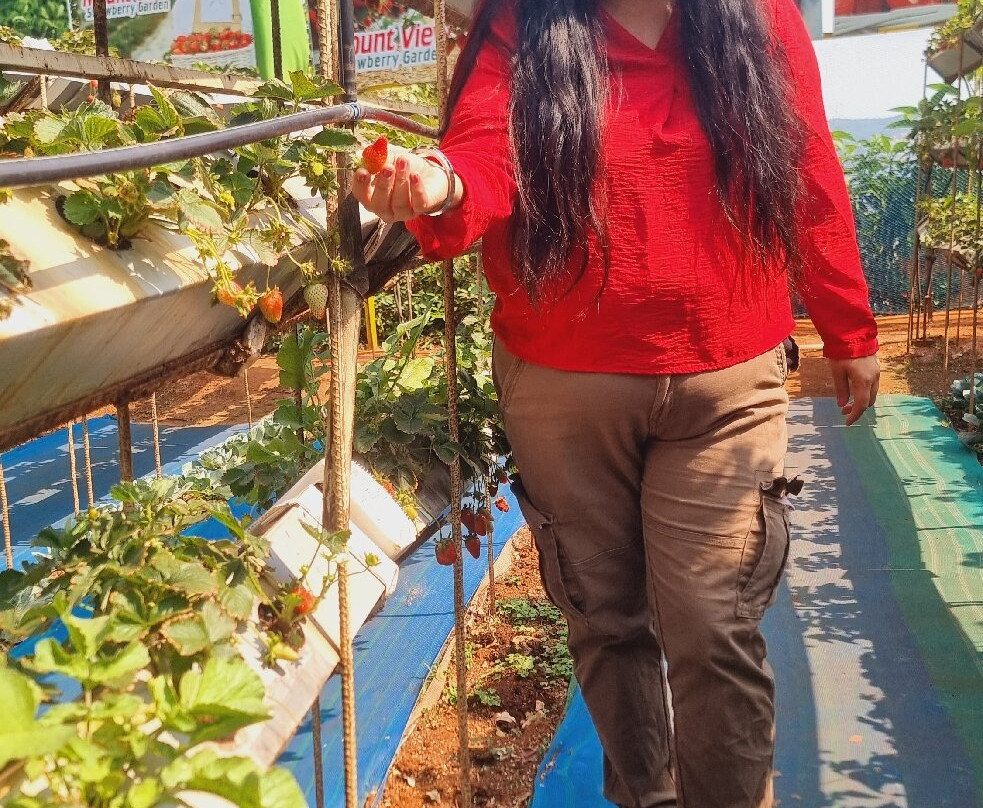 Mahabaleshwar Hill Station-马哈巴勒什瓦必去景点