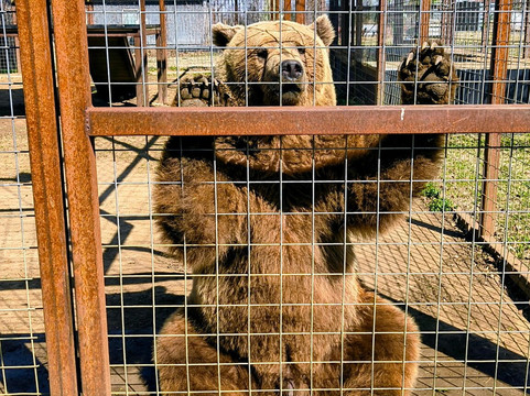 Safari Zoological Park-Caney必去景点
