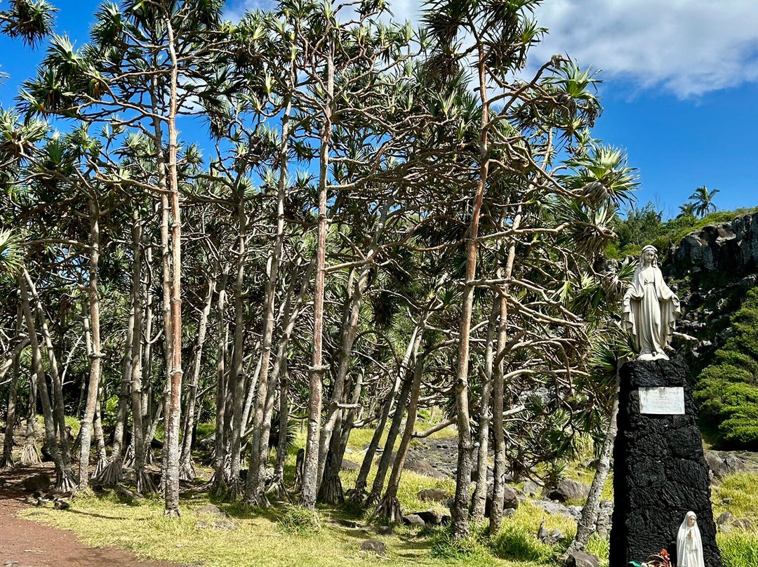 Plage Grand Bois-Grand Bois必去景点