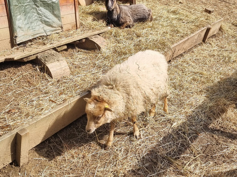 Park Boheminium-玛丽亚温泉市必去景点
