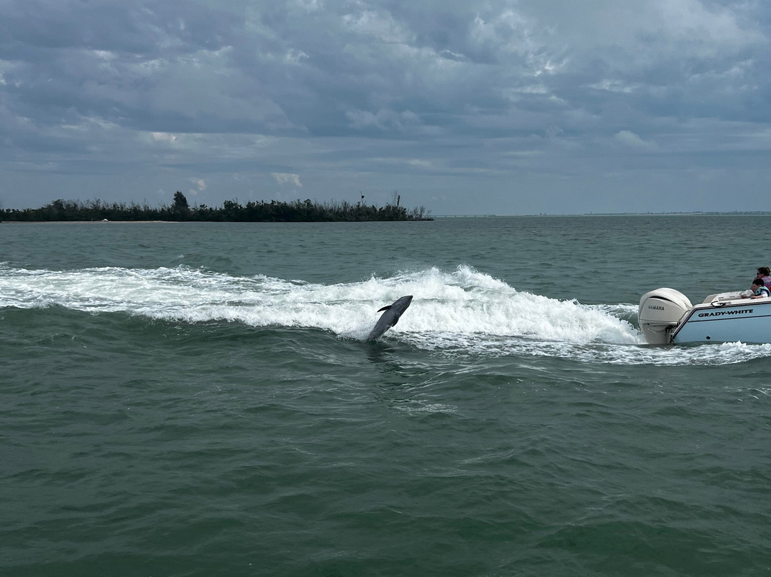 Adventures in Paradise Fort Myers Beach-迈尔斯堡海滩必去景点
