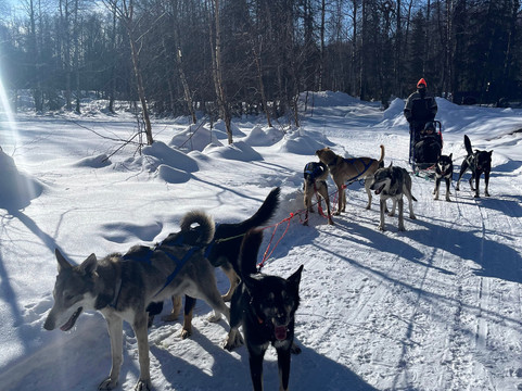 Snowhook Adventure Guides of Alaska-Willow必去景点