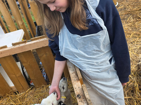 Hillview Animal Park-Alloa必去景点