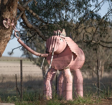 Animals on Bikes-Molong必去景点